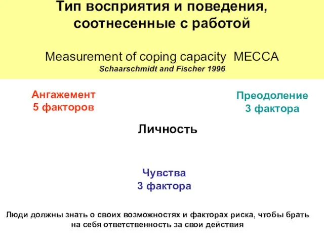 Тип восприятия и поведения, соотнесенные с работой Measurement of coping capacity MECCA