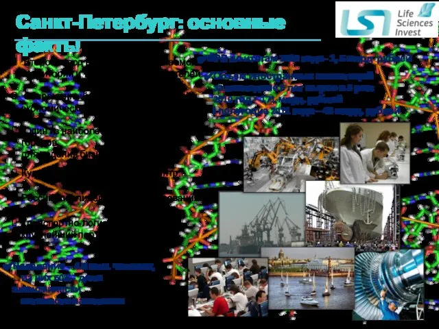 Санкт-Петербург: основные факты Второй город в Европе по занимаемой территории и третий