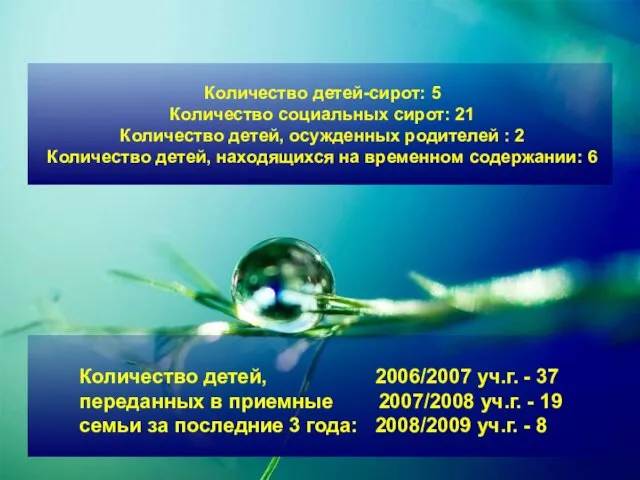 Количество детей-сирот: 5 Количество социальных сирот: 21 Количество детей, осужденных родителей :