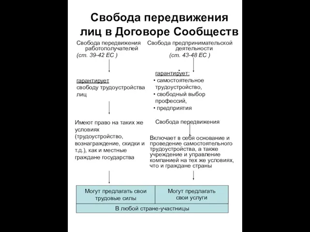 В любой стране-участницы Могут предлагать свои услуги Могут предлагать свои трудовые силы