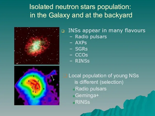 Isolated neutron stars population: in the Galaxy and at the backyard INSs