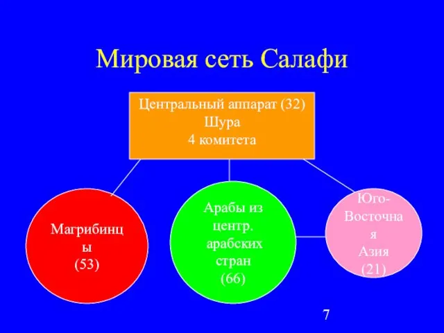 Мировая сеть Салафи Центральный аппарат (32) Шура 4 комитета Арабы из центр.