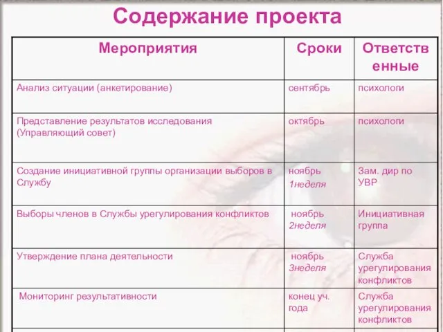 Содержание проекта