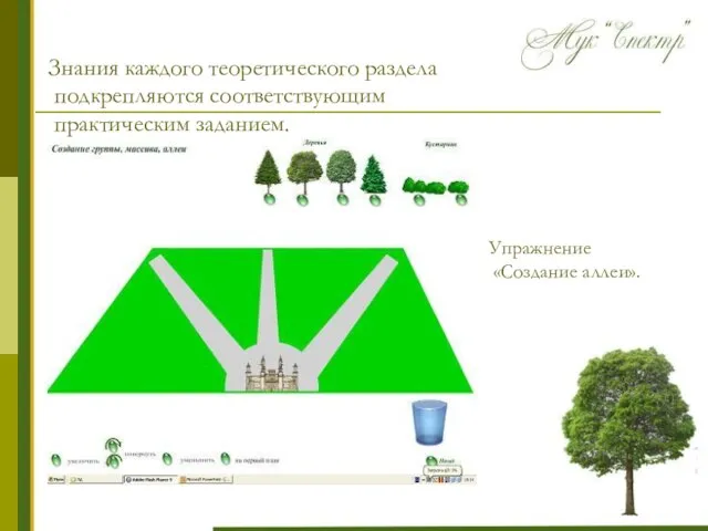 Знания каждого теоретического раздела подкрепляются соответствующим практическим заданием. . Упражнение «Создание аллеи».