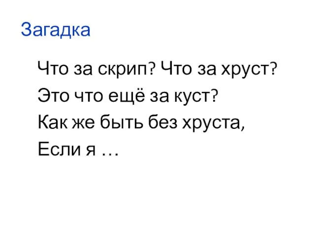 Загадка Что за скрип? Что за хруст? Это что ещё за куст?