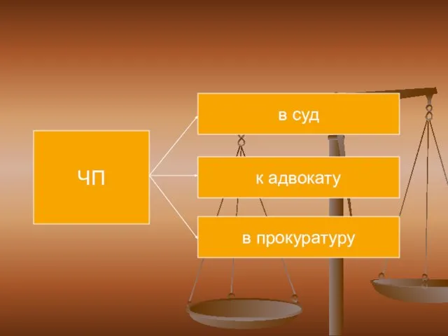 ЧП к адвокату в прокуратуру в суд