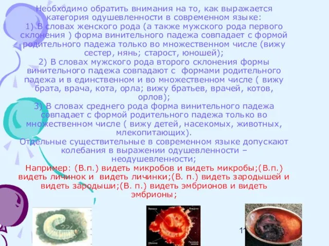 Необходимо обратить внимания на то, как выражается категория одушевленности в современном языке: