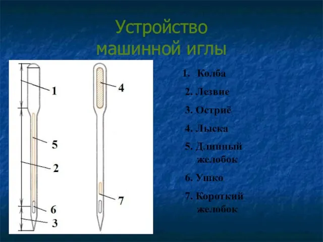 Устройство машинной иглы Колба 2. Лезвие 3. Остриё 4. Лыска 5. Длинный