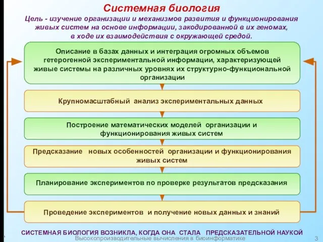 * Высокопроизводительные вычисления в биоинформатике Системная биология Цель - изучение организации и