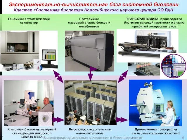 * Высокопроизводительные вычисления в биоинформатике Экспериментально-вычислительная база системной биологии Кластер «Системная биология»