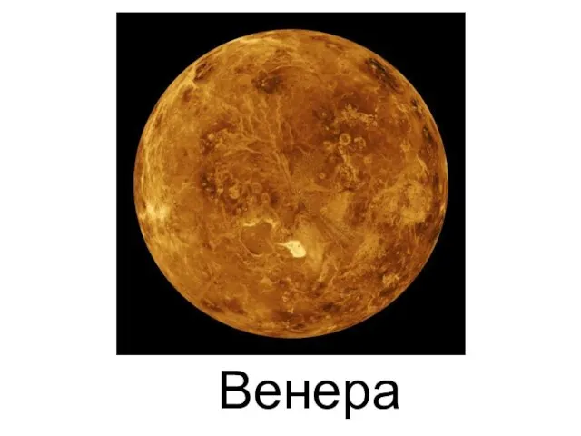 Венера