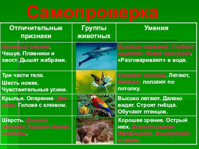 Самопроверка