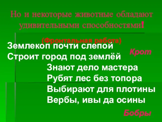 Но и некоторые животные обладают удивительными способностями! Землекоп почти слепой Строит город