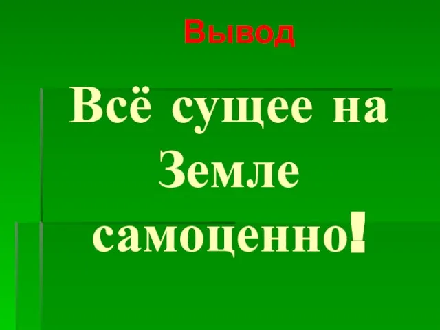 Всё сущее на Земле самоценно! Вывод