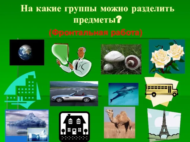 На какие группы можно разделить предметы? (Фронтальная работа)