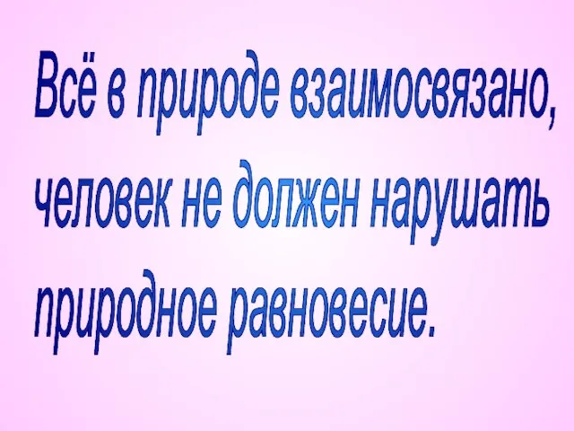 Всё в природе взаимосвязано, человек не должен нарушать природное равновесие.