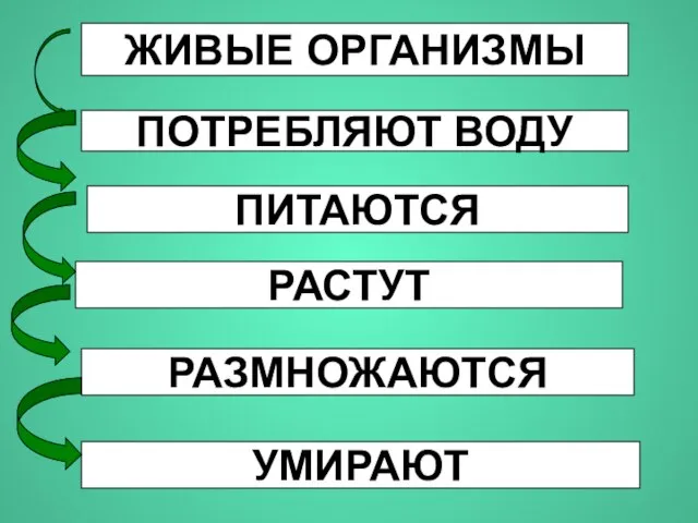 ЖИВЫЕ ОРГАНИЗМЫ ПОТРЕБЛЯЮТ ВОДУ ПИТАЮТСЯ РАСТУТ РАЗМНОЖАЮТСЯ УМИРАЮТ