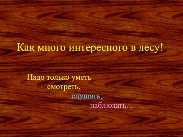 Как много интересного в лесу! Надо только уметь смотреть, слушать, наблюдать…