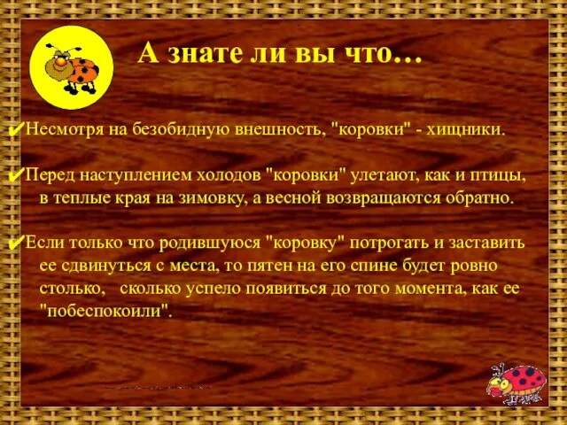 А знате ли вы что… Несмотря на безобидную внешность, "коровки" - хищники.