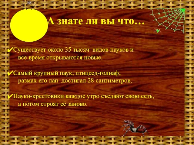 А знате ли вы что… Существует около 35 тысяч видов пауков и