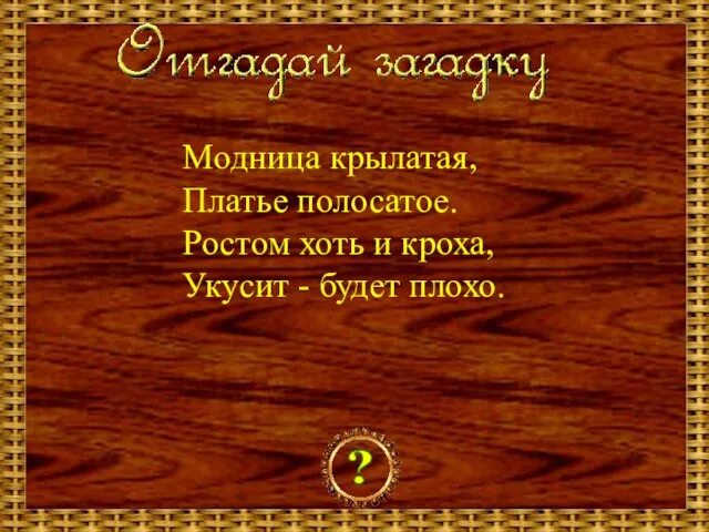 Модница крылатая, Платье полосатое. Ростом хоть и кроха, Укусит - будет плохо. ?