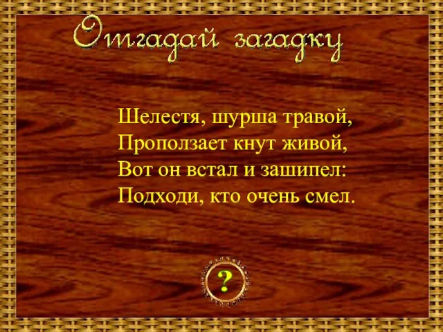 Шелестя, шурша травой, Проползает кнут живой, Вот он встал и зашипел: Подходи, кто очень смел. ?