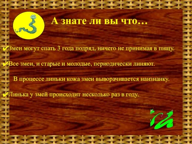 А знате ли вы что… Змеи могут спать 3 года подряд, ничего