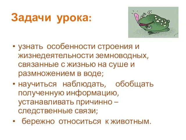 Задачи урока: узнать особенности строения и жизнедеятельности земноводных, связанные с жизнью на