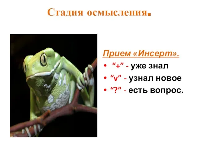 Стадия осмысления. Прием «Инсерт». “+” - уже знал “v” - узнал новое “?” - есть вопрос.