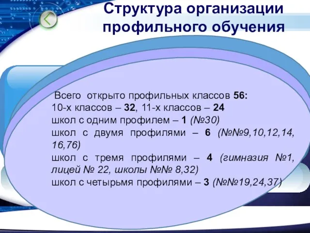 Структура организации профильного обучения Всего открыто профильных классов 56: 10-х классов –