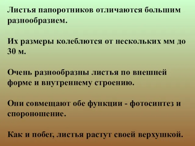 Листья папоротников отличаются большим разнообразием. Их размеры колеблются от нескольких мм до