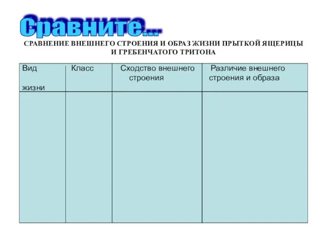 Сравните... Вид Класс Сходство внешнего Различие внешнего строения строения и образа жизни