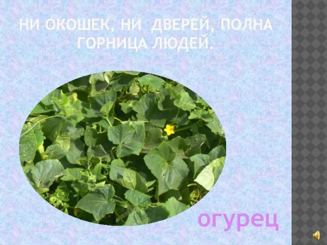 НИ ОКОШЕК, НИ ДВЕРЕЙ, ПОЛНА ГОРНИЦА ЛЮДЕЙ. огурец