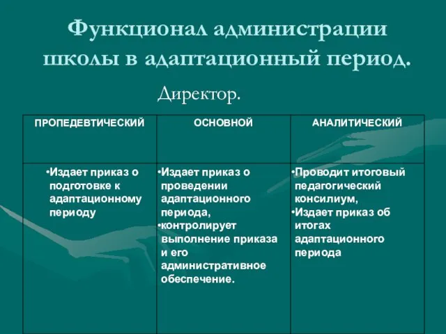 Функционал администрации школы в адаптационный период. Директор.