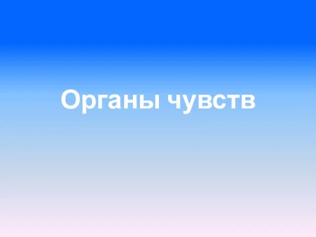 Органы чувств