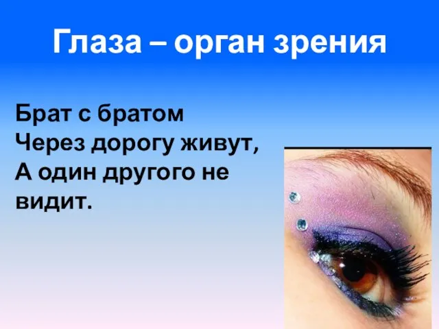 Глаза – орган зрения Брат с братом Через дорогу живут, А один другого не видит.