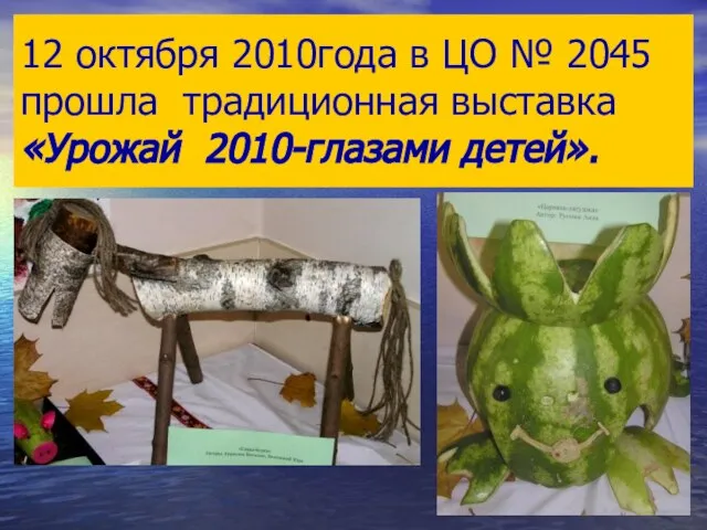 12 октября 2010года в ЦО № 2045 прошла традиционная выставка «Урожай 2010-глазами детей».