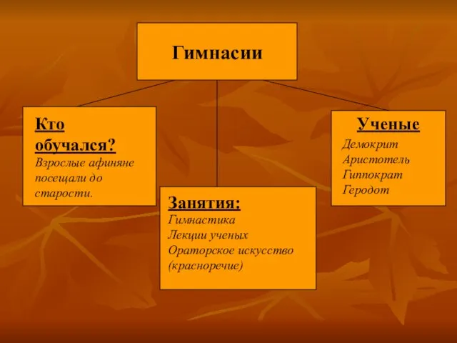 Гимнасии Ученые Кто обучался? Взрослые афиняне посещали до старости. Занятия: Гимнастика Лекции