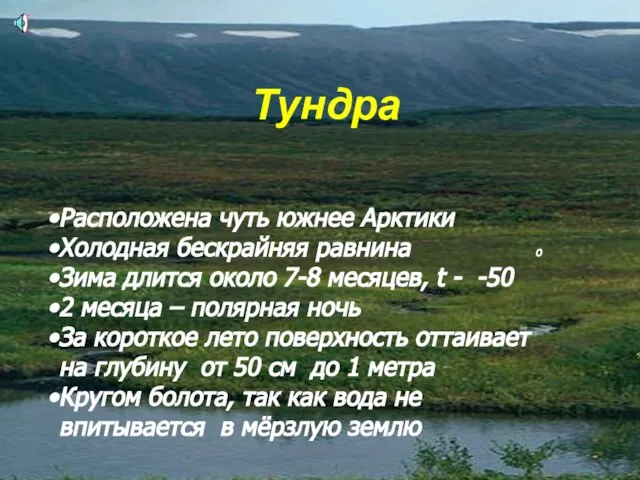 Тундра Расположена чуть южнее Арктики Холодная бескрайняя равнина o Зима длится около