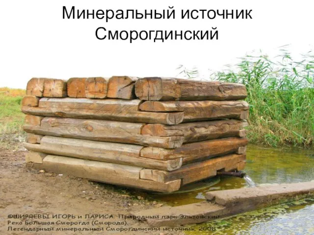 Минеральный источник Сморогдинский