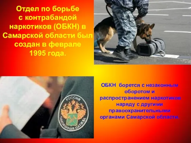 Отдел по борьбе с контрабандой наркотиков (ОБКН) в Самарской области был создан