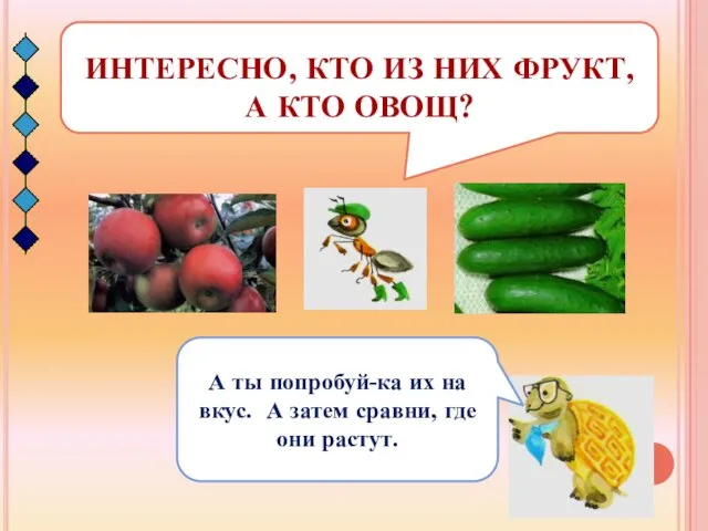 ИНТЕРЕСНО, КТО ИЗ НИХ ФРУКТ, А КТО ОВОЩ? А ты попробуй-ка их