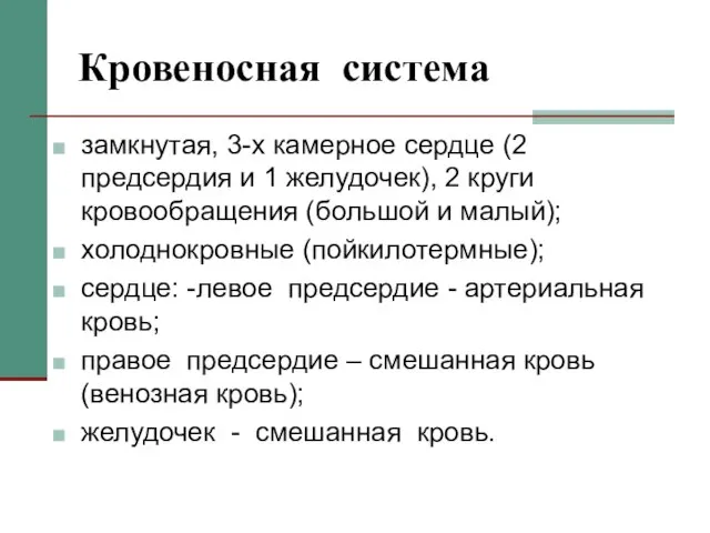 Кровеносная система замкнутая, 3-х камерное сердце (2 предсердия и 1 желудочек), 2