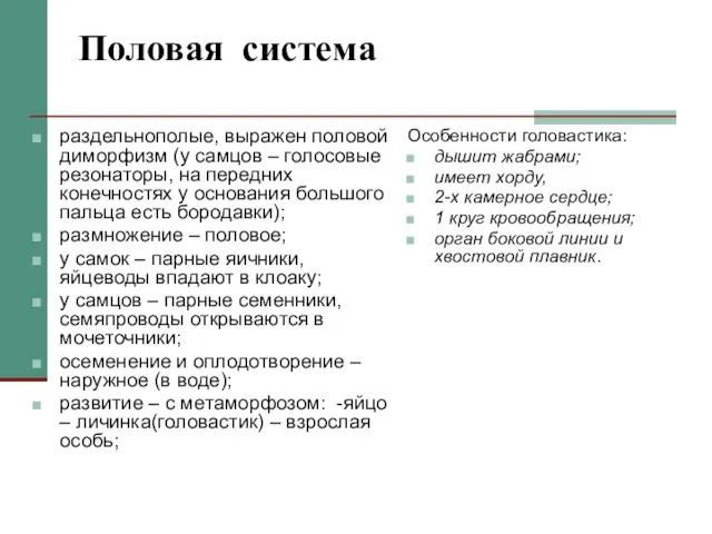 Половая система раздельнополые, выражен половой диморфизм (у самцов – голосовые резонаторы, на