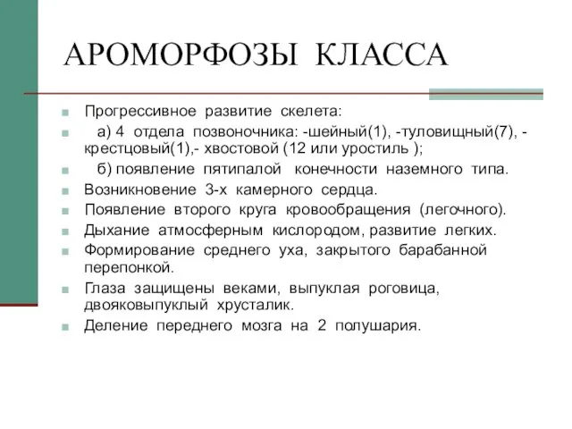 АРОМОРФОЗЫ КЛАССА Прогрессивное развитие скелета: а) 4 отдела позвоночника: -шейный(1), -туловищный(7), -крестцовый(1),-