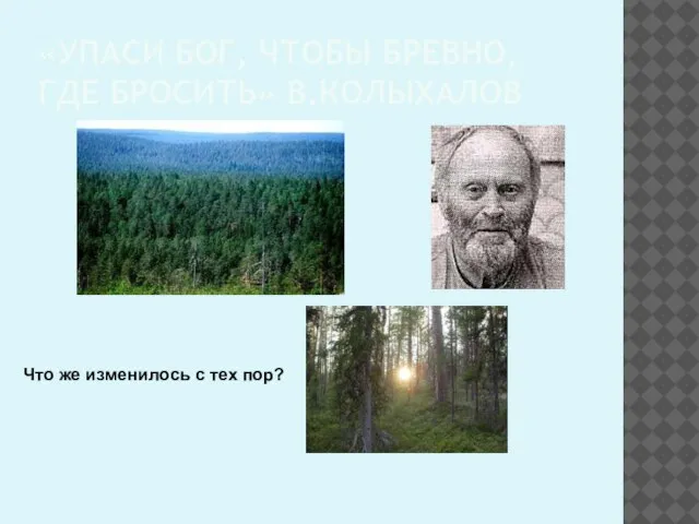 «УПАСИ БОГ, ЧТОБЫ БРЕВНО, ГДЕ БРОСИТЬ» В.КОЛЫХАЛОВ Что же изменилось с тех пор?