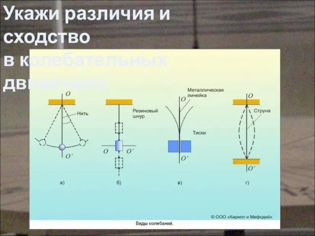 Укажи различия и сходство в колебательных движениях