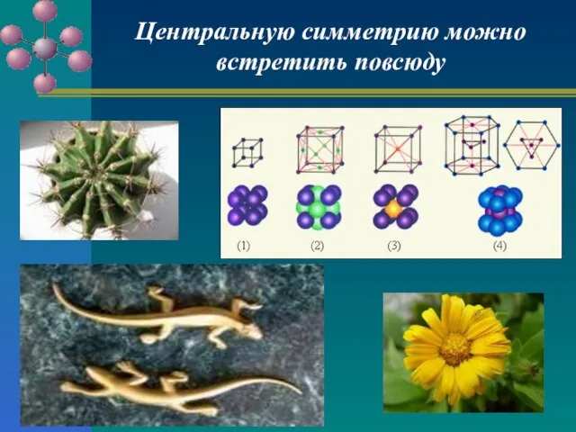 Центральную симметрию можно встретить повсюду