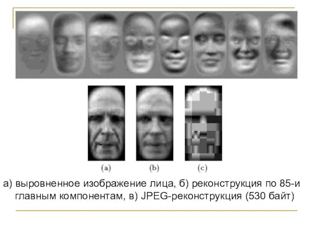 а) выровненное изображение лица, б) реконструкция по 85-и главным компонентам, в) JPEG-реконструкция (530 байт)