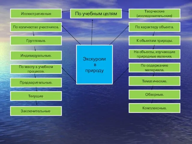 Иллюстративные По учебным целям Творческие (исследовательские) По количество участников. Групповые. Индивидуальные. По